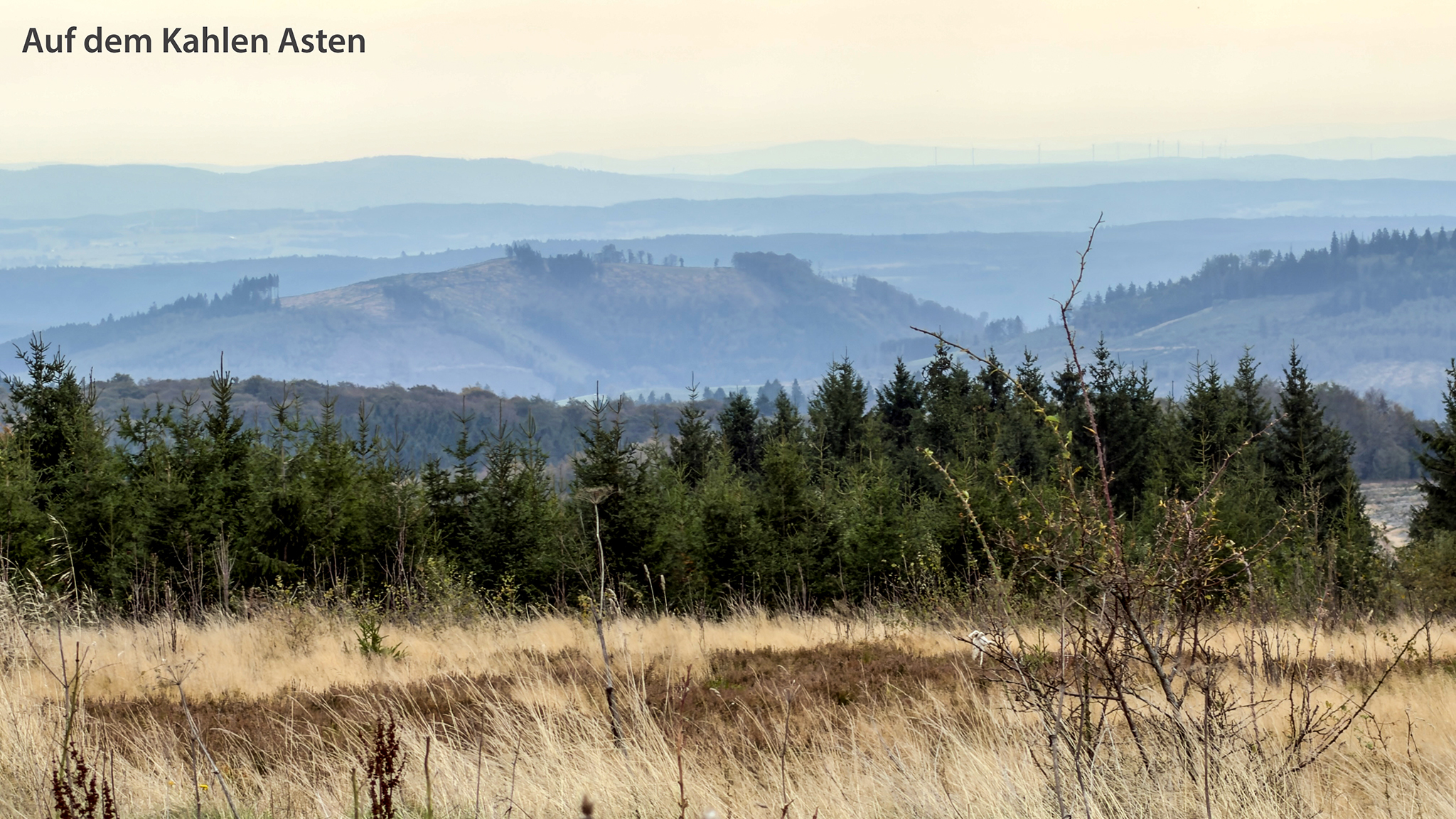 Auf dem Kahlen Asten